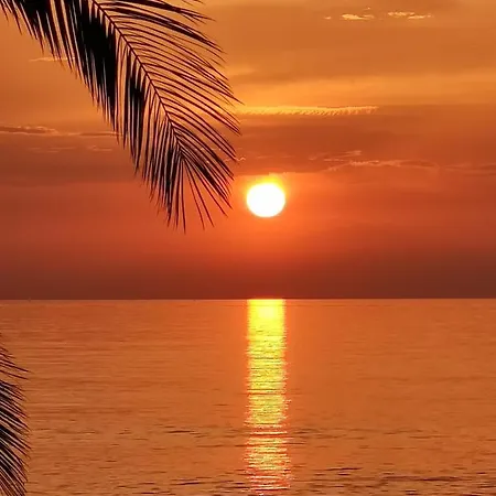 The Sunny Side Central Umag