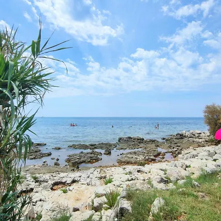 The Sunny Side Central * Umag