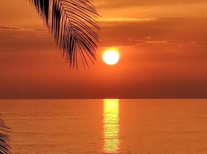 The Sunny Side Umag