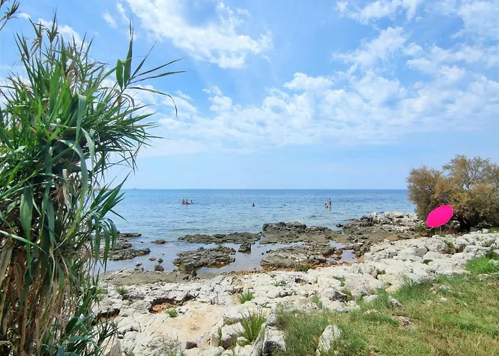 The Sunny Side * Umag