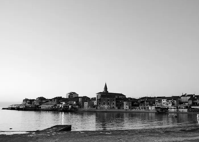 The Sunny Side * Umag